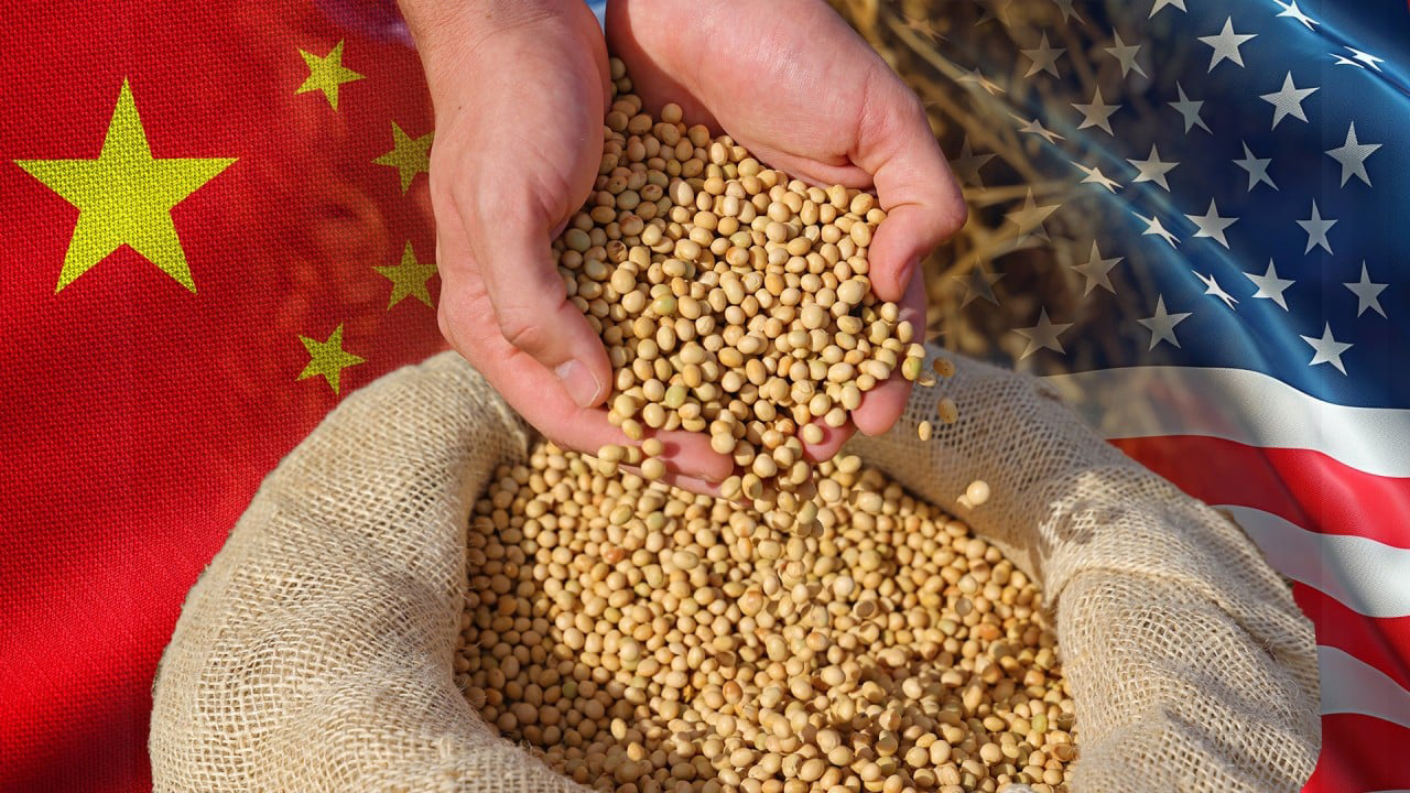 ট্রাম্পের শুল্ক অবৈধ: ভেস্তে যেতে পারে চড়া দামে চীনে সয়াবিন বিক্রির পরিকল্পনা