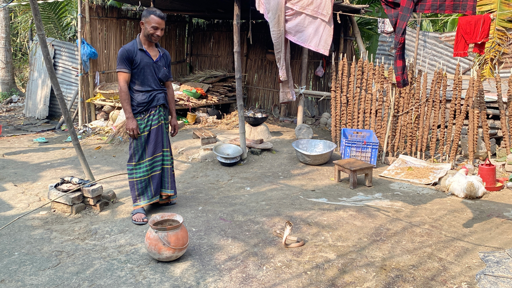 ‘মানুষের কাছ থেকে কষ্ট পেয়ে’ বাড়িতে গোখরা সাপ পুষছেন আশরাফুল
