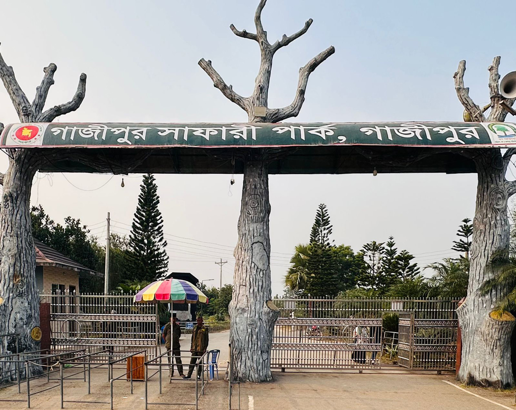 সাফারি পার্কে এল নতুন ৩টি সিংহ, সাপ্তাহিক ছুটির দিনেও খোলা থাকবে পার্ক