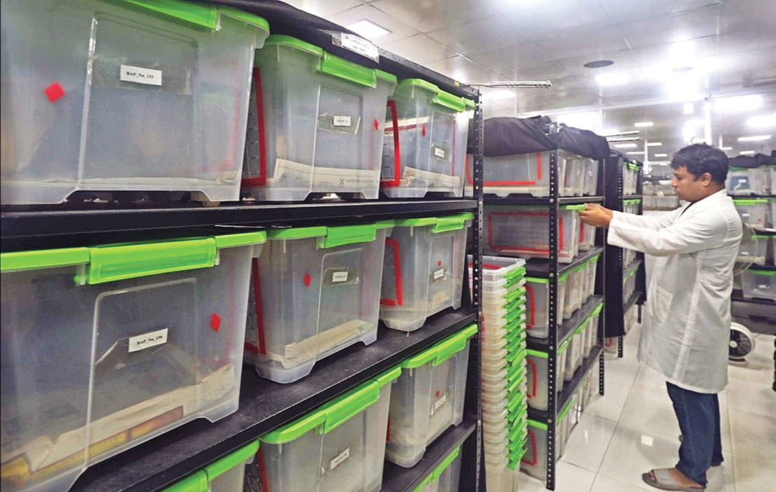 ভেনম রিসার্চ সেন্টার: সাপের বিষের ওষুধ দেশেই তৈরির চেষ্টা