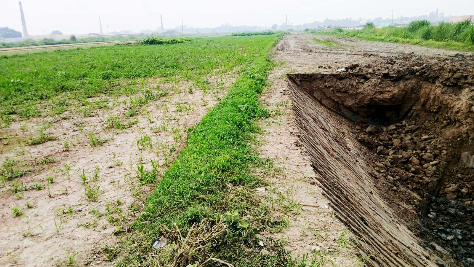 ফসলি জমির মাটি যাচ্ছে ইটভাটায়, কমছে উৎপাদন