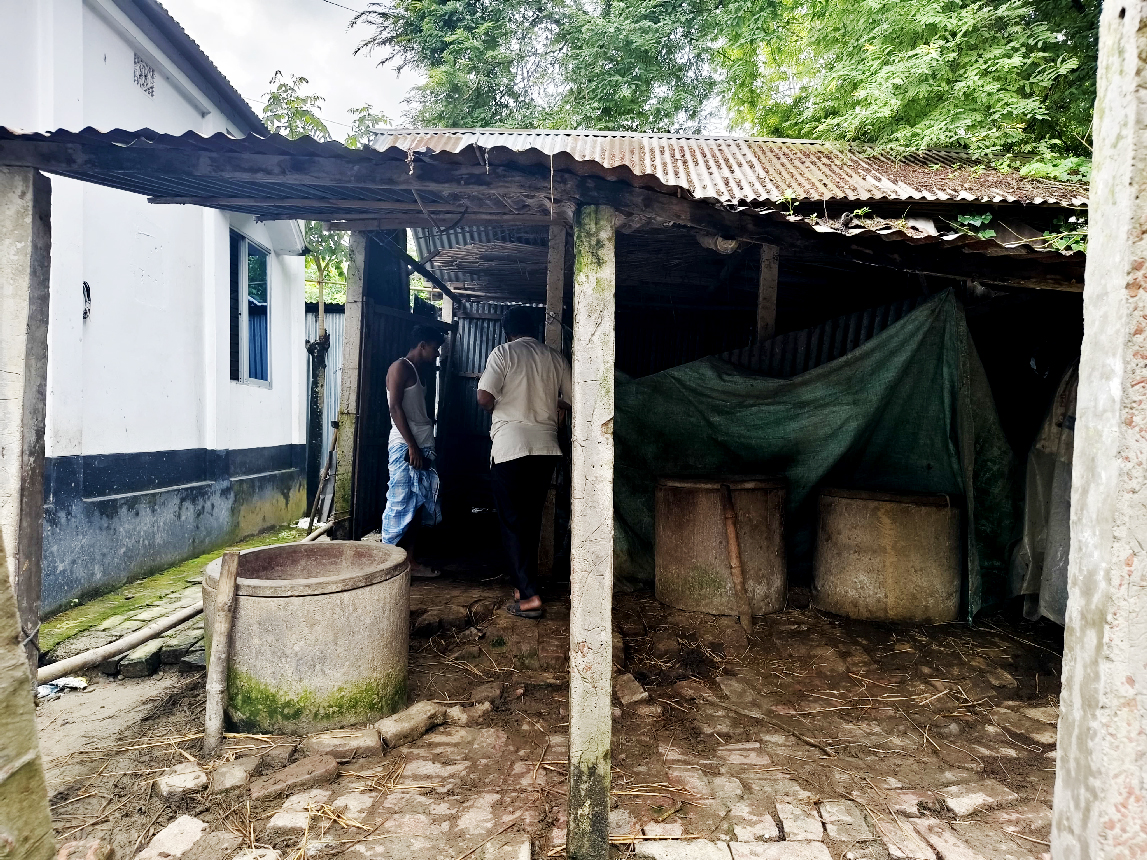 কামারখন্দে এক রাতে গোয়ালঘরের তালা ভেঙে সাত গরু চুরি