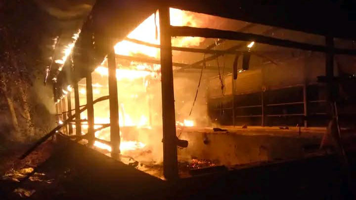 সিরাজগঞ্জে আগুনে পুড়ে মারা গেল কৃষকের পাঁচটি গরু