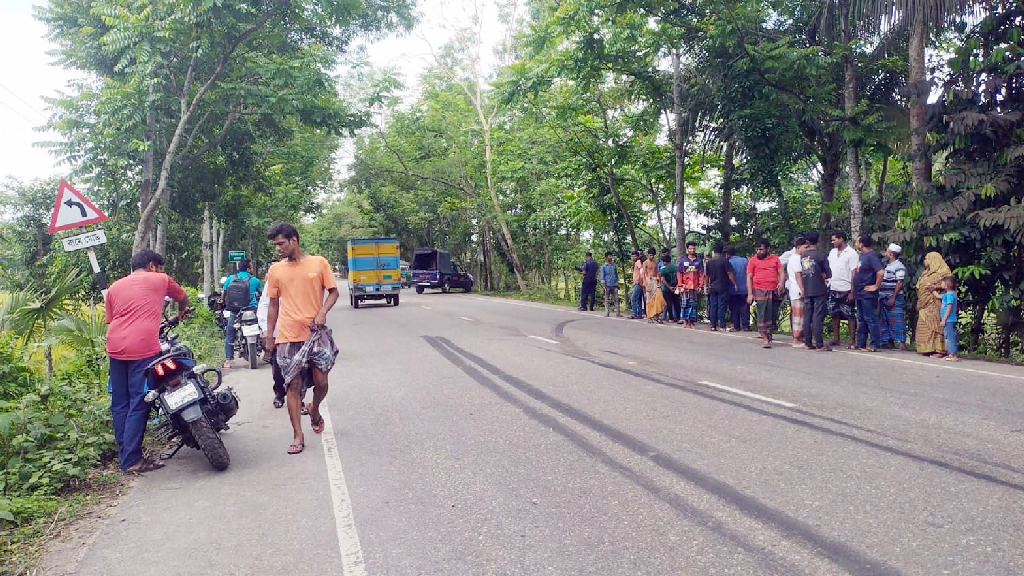 ঢাকা-বরিশাল মহাসড়কে বাসের ধাক্কায় পথচারী দাদি-নাতনি নিহত