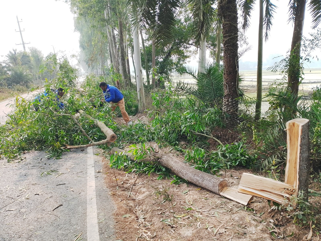 সড়কে গাছ ফেলে অটোরিকশা ছিনতাই