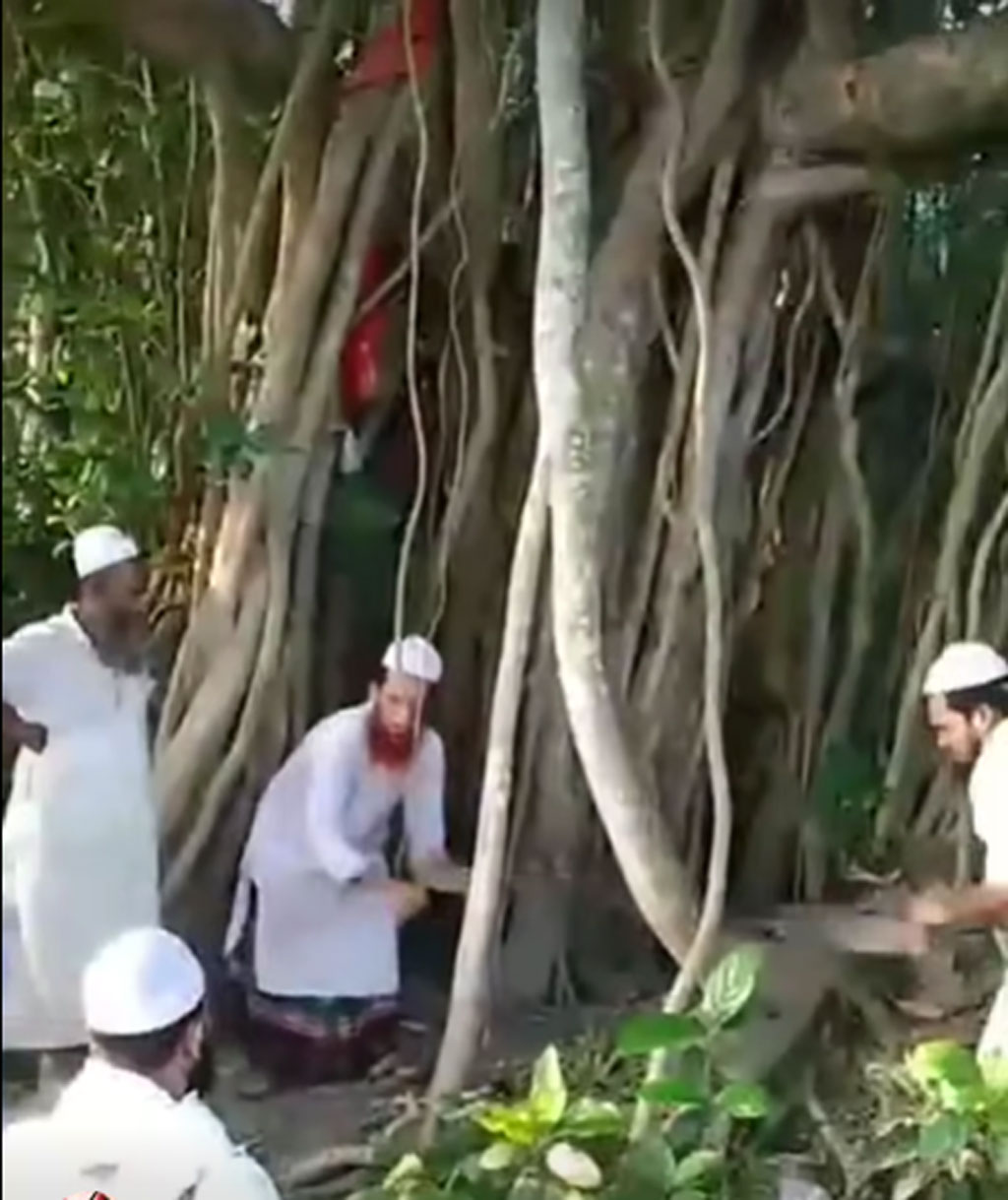 ছবি: ভিডিও থেকে
