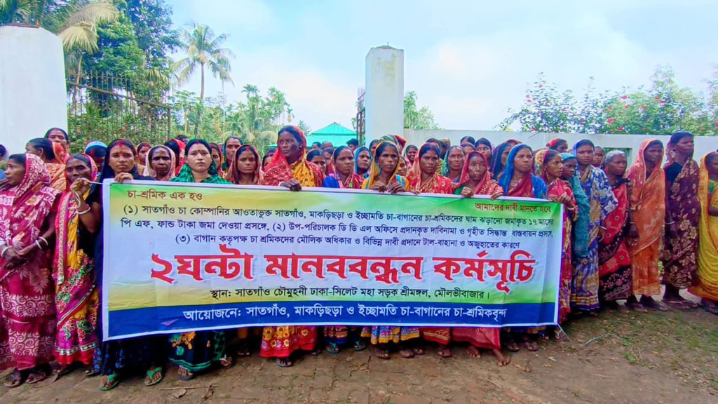 প্রভিডেন্ট ফান্ডের বকেয়া পরিশোধের দাবিতে শ্রীমঙ্গলে তিনটি চা-বাগানে শ্রমিকদের কর্মবিরতি