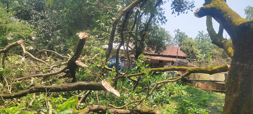 শ্রীপুরে কালবৈশাখীতে লন্ডভন্ড তিন গ্রাম