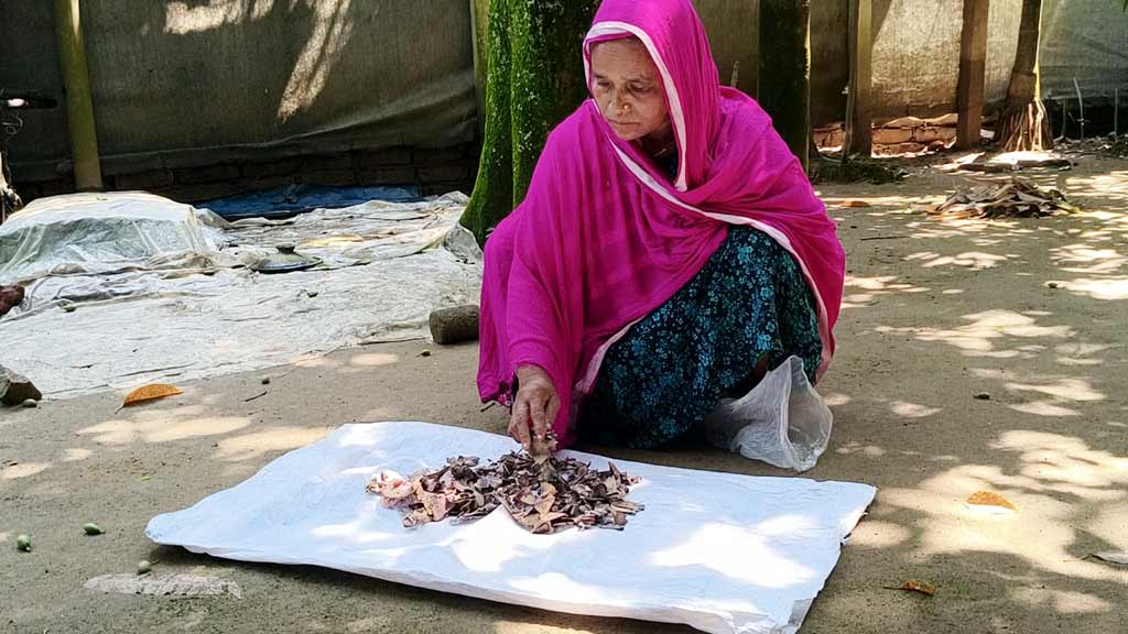 জর্দার কৌটায় ১০ বছর ধরে জমানো ২ লাখ টাকা, খুলে দেখলেন সব শেষ