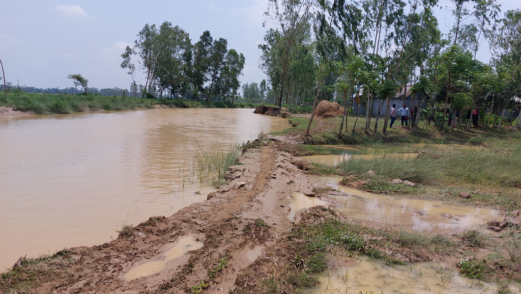 শেরপুরে কমতে শুরু করেছে পাহাড়ি ঢলের পানি