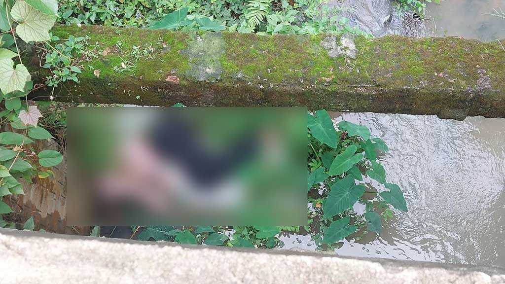 শ্রীপুরে রেল ব্রিজের নিচ থেকে অজ্ঞাত যুবকের মরদেহ উদ্ধার, ট্রেন থেকে পড়ে মৃত্যুর আশঙ্কা