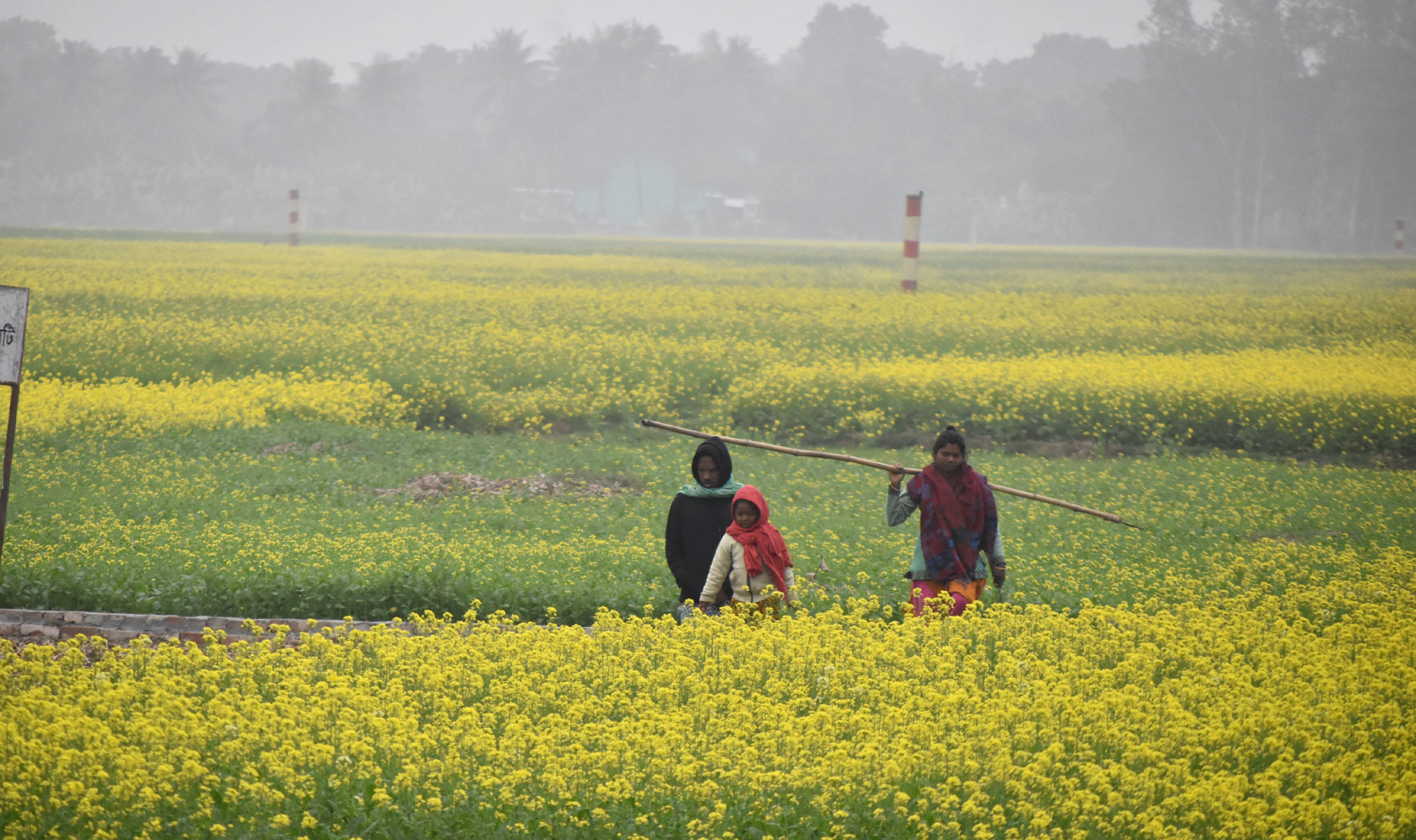 দিনের ছবি (৬ জানুয়ারি, ২০২৬)