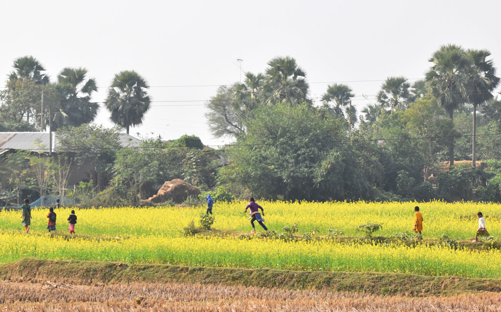 দিনের ছবি (২১ ডিসেম্বর ২০২৪)