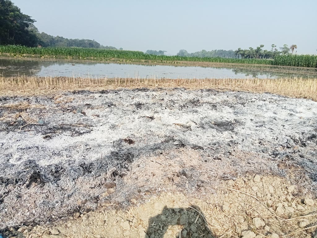 মনিরামপুরে আগুনে পুড়েছে দেড় বিঘা জমির সরিষা