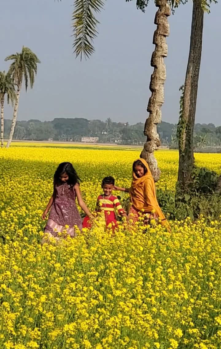 হলদে রাঙা সরিষা ফুলে ছেয়ে গেছে মাঠ। চারদিকে ফুলের ম-ম গন্ধ। মৌমাছির সঙ্গে শিশুরাও মাতোয়ারা ফুলের সুবাসে। পাটকেলঘাটার রাজেন্দ্রপুর মাঠ, সাতক্ষীরা, ১৯ ডিসেম্বর, ২০২৪। ছবি: মুজিবুর রহমান