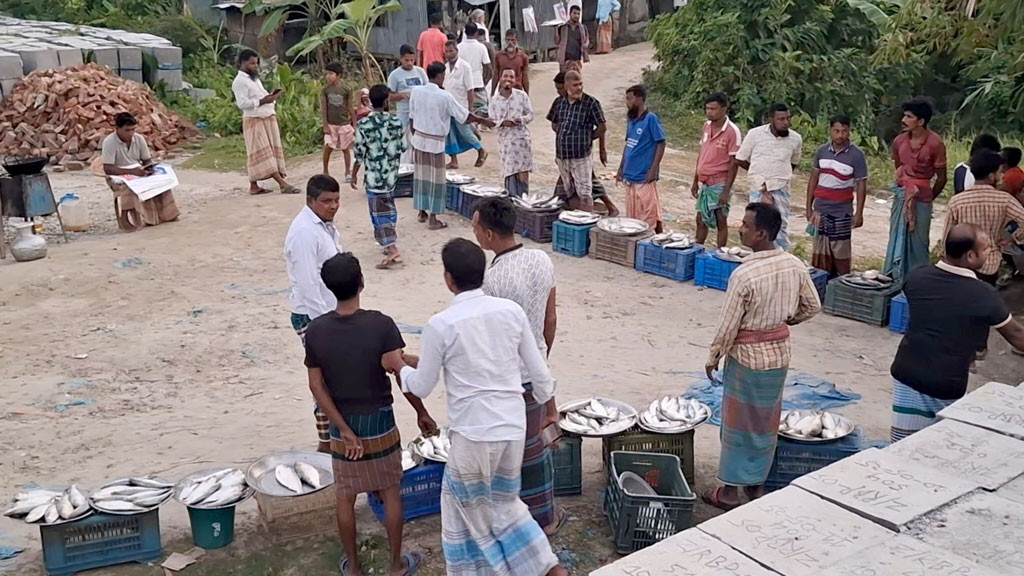 নিষেধাজ্ঞা অমান্য করে জাজিরায় প্রকাশ্যে চলছে ইলিশ বেচাকেনা