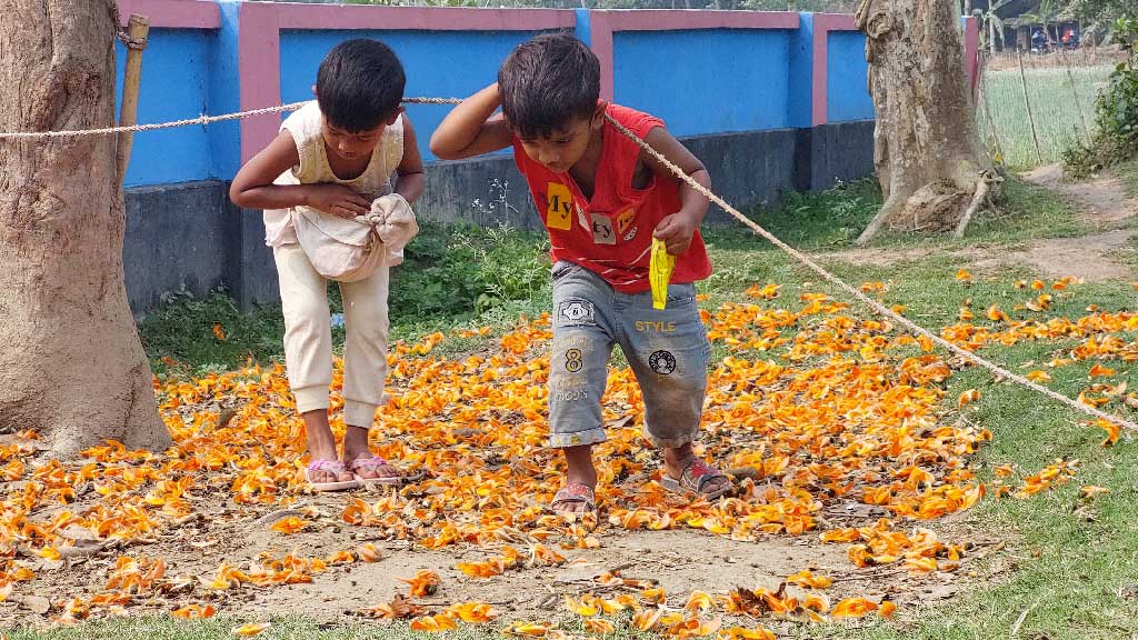 দিনের ছবি (২৬ ফেব্রুয়ারি ২০২৫)