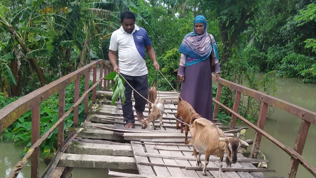 এক উপজেলায় ঝুঁকিপূর্ণ-অচল ৩৯ সেতু