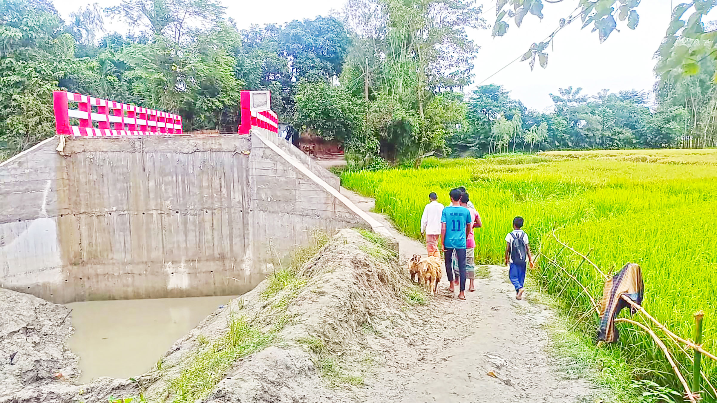কুড়িগ্রামের চিলমারী: অসম্পূর্ণ সেতুর কারণে হাঁটার রাস্তাও অকেজো