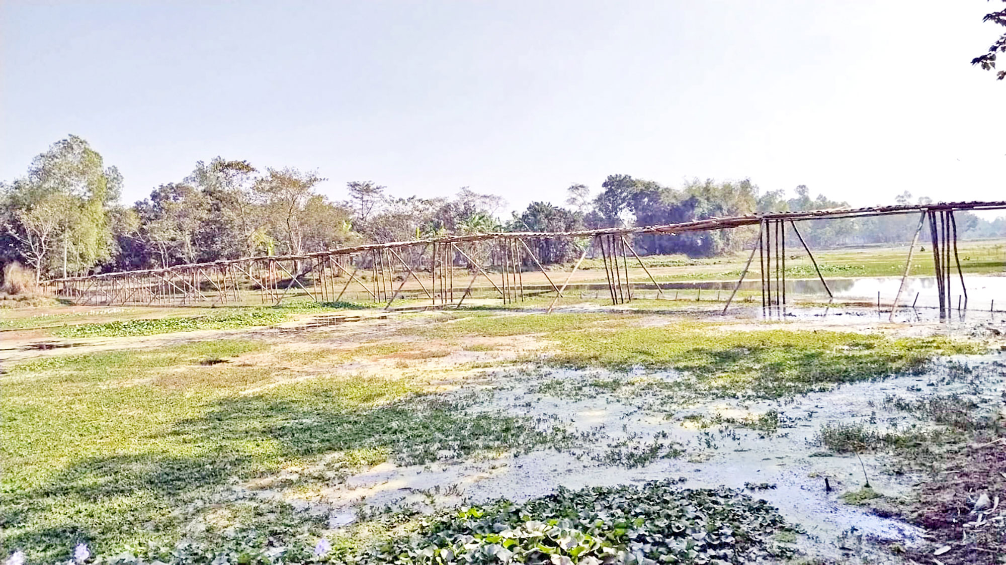 সেতুর দাবি: চাষির ফসলের ন্যায্যমূল্য আটকা ইছামতিতে