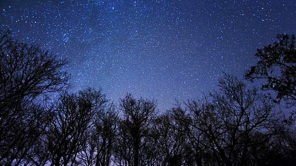 চাঁদ দেখা যায়নি, বৃহস্পতিবার থেকে রোজা শুরুর ঘোষণা ৮ দেশের