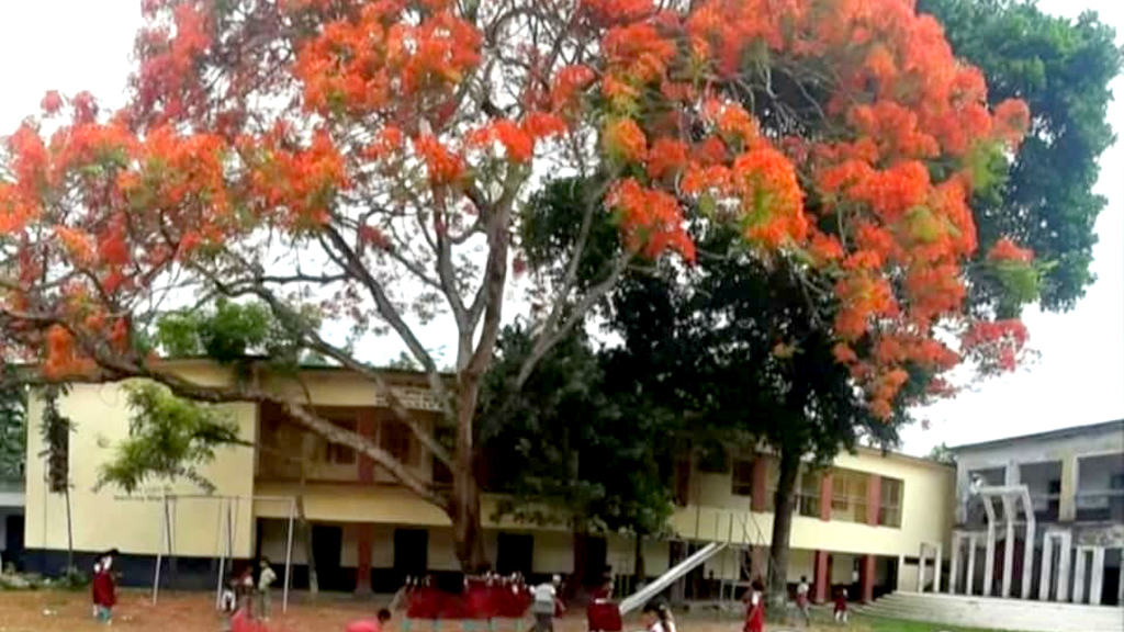 সাঁথিয়ায় শিক্ষার্থীকে নির্যাতনের অভিযোগ, সহকারী শিক্ষকের বিরুদ্ধে তদন্ত শুরু