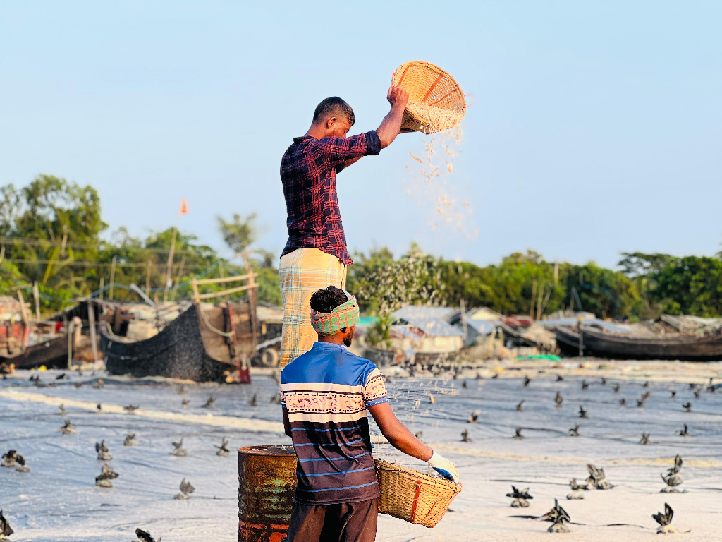 দিনের ছবি (১৯ নভেম্বর, ২০২৫)