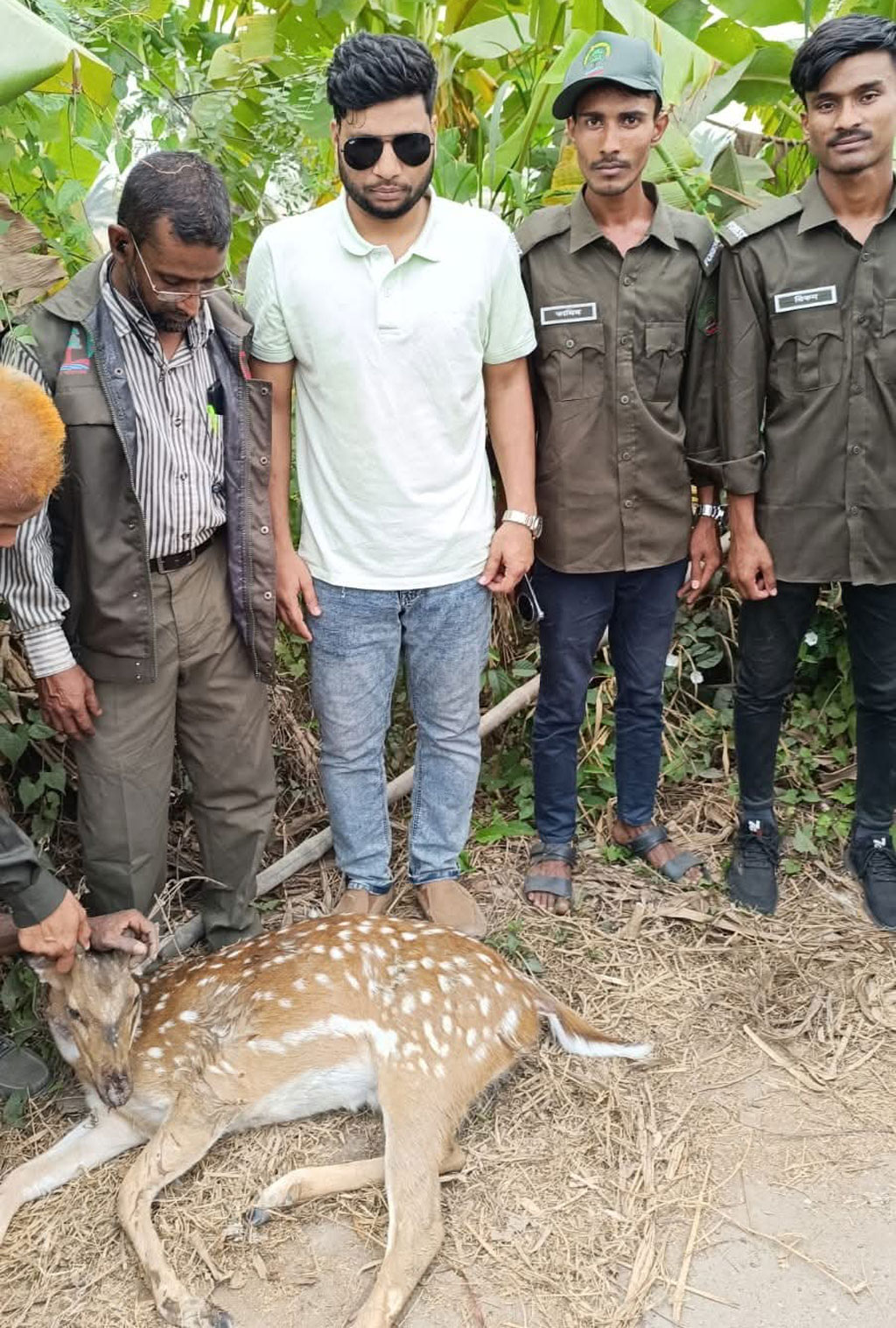 সীতাকুণ্ডে পোষা কুকুর দিয়ে হরিণ শিকার। ছবি: আজকের পত্রিকা