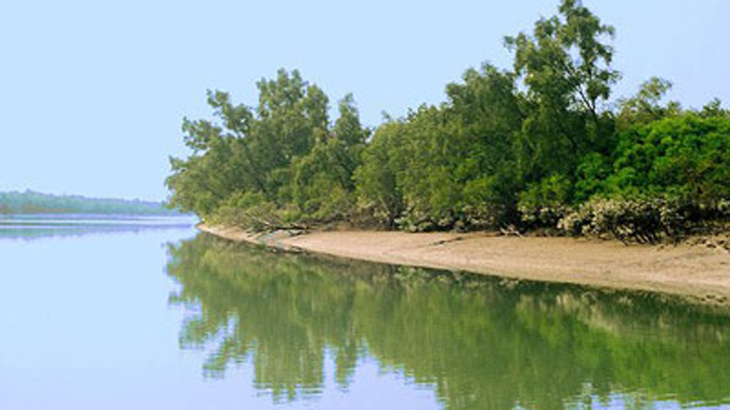 সুন্দরবনে কমছে পর্যটক, অবকাঠামো উন্নয়ন দাবি