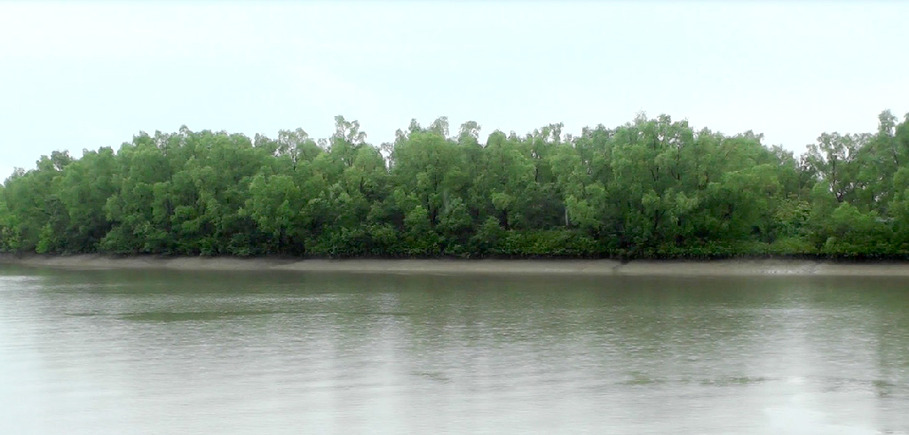 সুন্দরবন থেকে ১৮ জেলেকে অপহরণ করেছে দস্যুরা