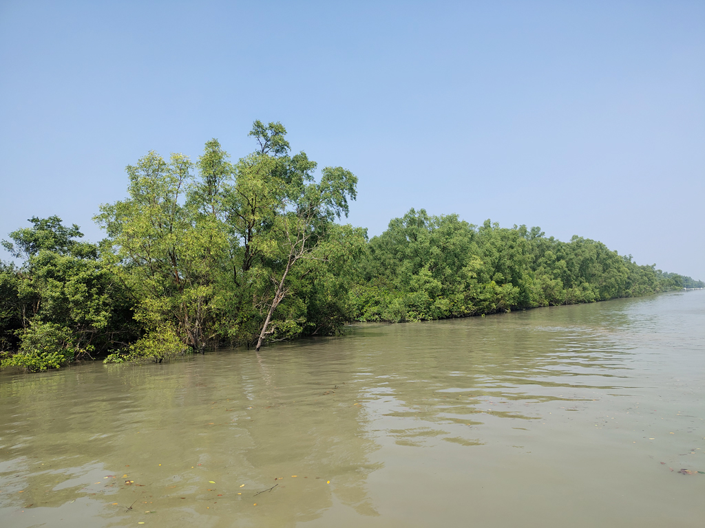 সুন্দরবন থেকে ৭ জেলেকে অপহরণ জলদস্যু ডন বাহিনীর, মুক্তিপণ দাবি