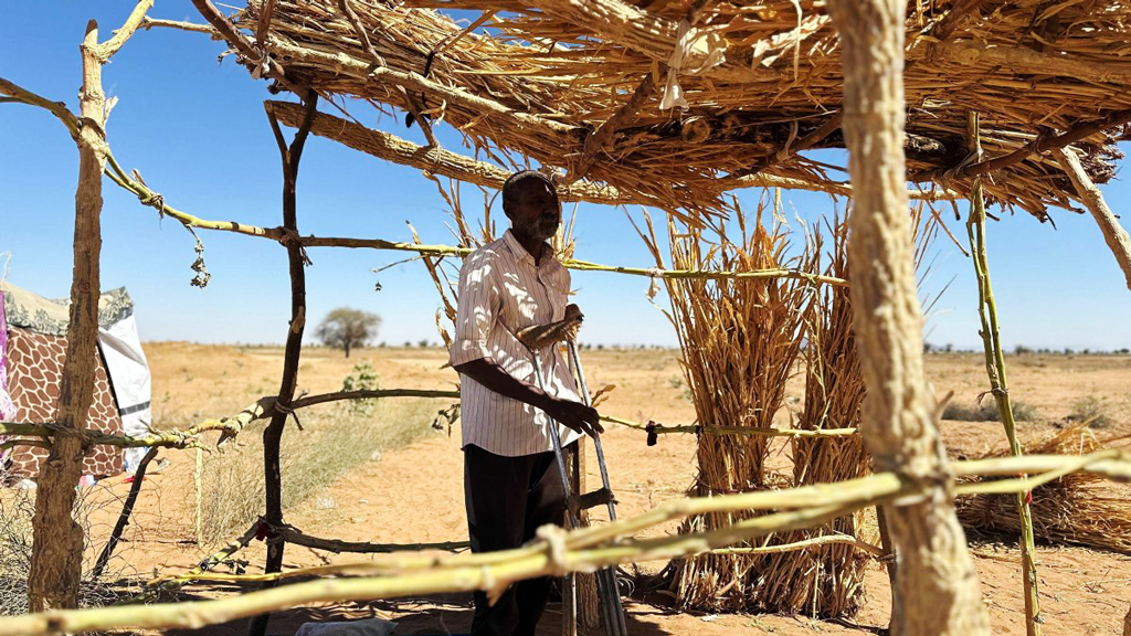 সুদানে জোড়া ড্রোন হামলায় নিহত ২৮