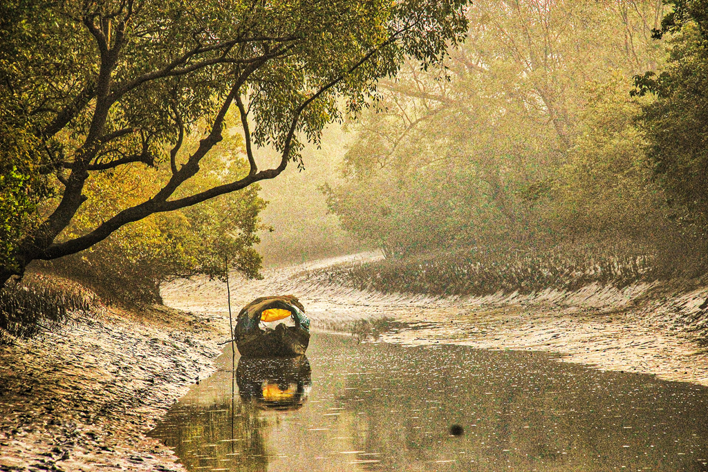 জীববৈচিত্র্য ধ্বংসে বাংলাদেশের ঋণমান কমতে পারে ৬ ধাপ, বাড়তে পারে ঋণের বোঝা: গবেষণা