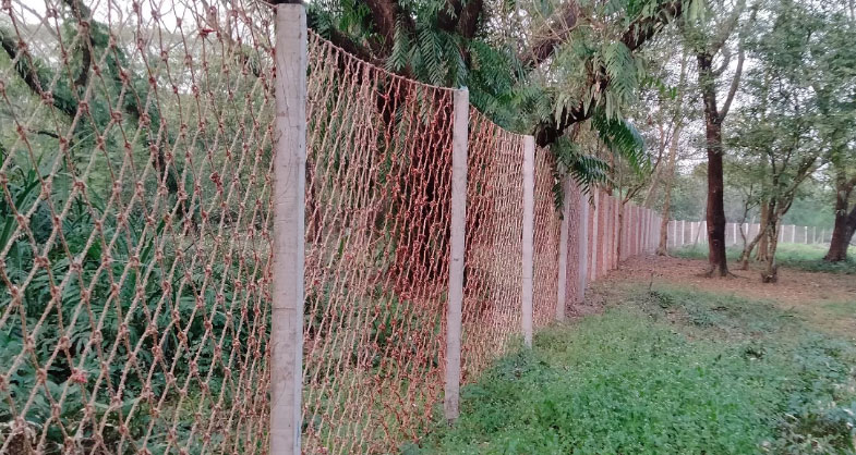 সুন্দরবনে বাঘ-মানুষের সংঘাত ঠেকাতে নাইলনের বেড়া