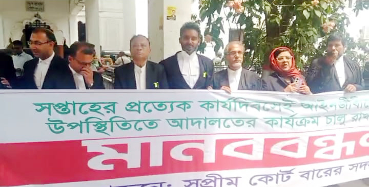 দুই দিন ভার্চুয়ালি চলবে বিচারকাজ, আইনজীবীদের আপত্তি