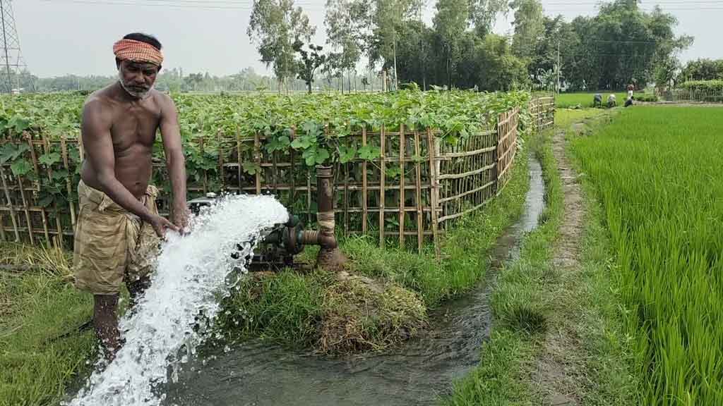 আমনে বাড়তি খরচ শতকোটি টাকা