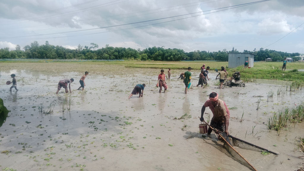 দিনের ছবি (৩০ জুন, ২০২৫)