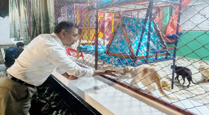 দিনভর ব্যস্ততা, বিকেলে শ্বশুরবাড়িতে তারেক