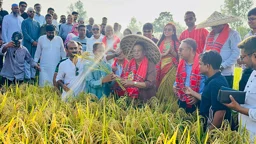 কৃষিকে প্রযুক্তিনির্ভর ও লাভজনক করতে কাজ করছে সরকার: তথ্যপ্রযুক্তিমন্ত্রী