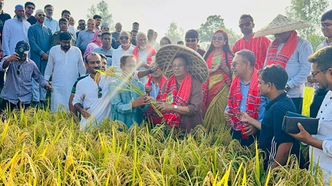কৃষিকে প্রযুক্তিনির্ভর ও লাভজনক করতে কাজ করছে সরকার: তথ্যপ্রযুক্তিমন্ত্রী