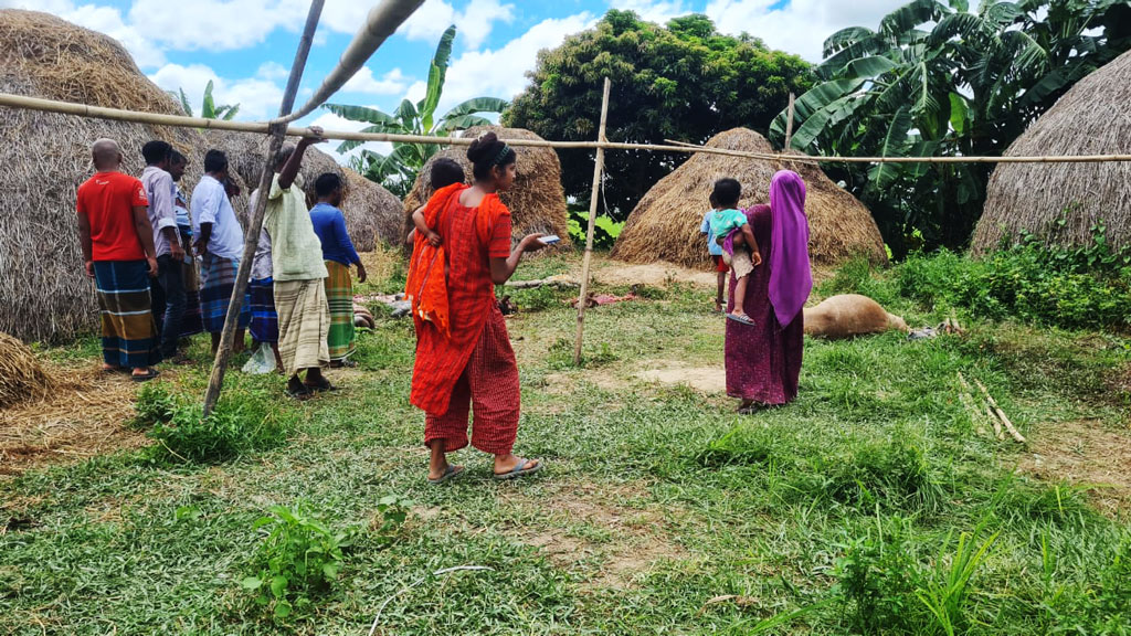 পরিত্যক্ত বাড়িতে ১০টি ঘোড়া জবাই