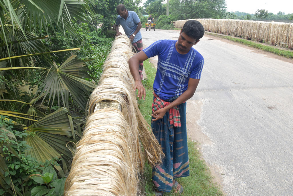 দিনের ছবি (৯ আগস্ট, ২০২৫)