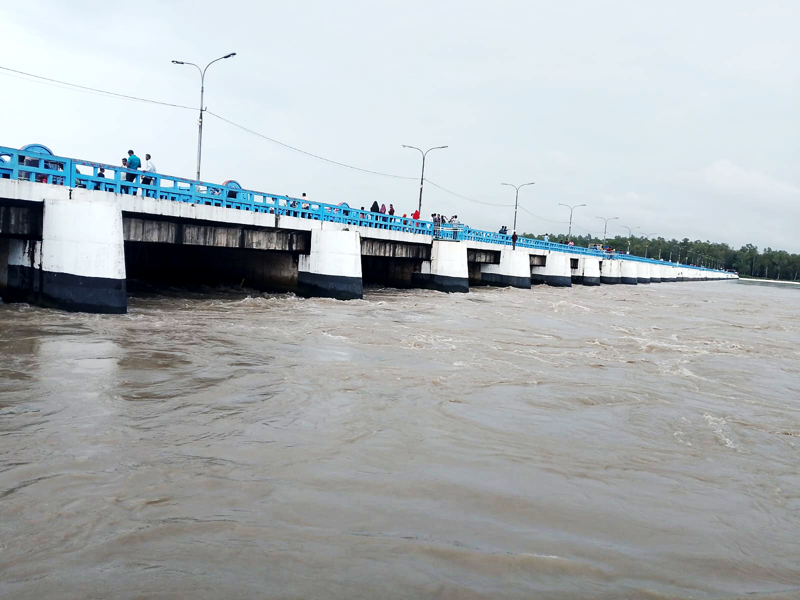 দ্রুত বাড়ছে তিস্তার পানি, দুই জেলায় বন্যার শঙ্কা