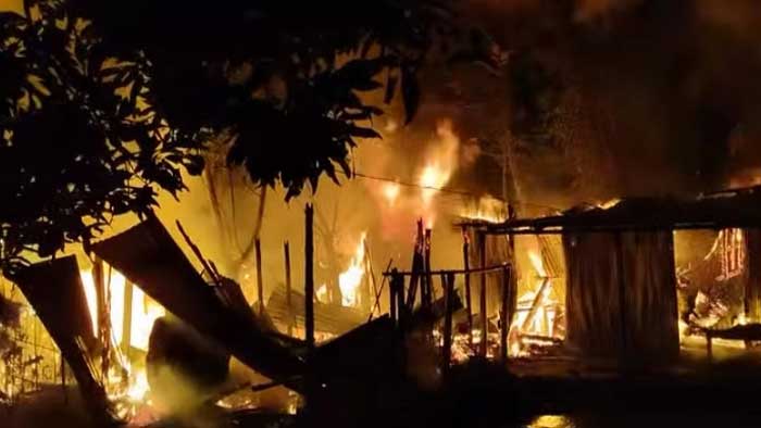 ঠাকুরগাঁওয়ে আগুনে পুড়ল গরু-ঘরবাড়ি, সর্বস্ব হারাল চার পরিবার