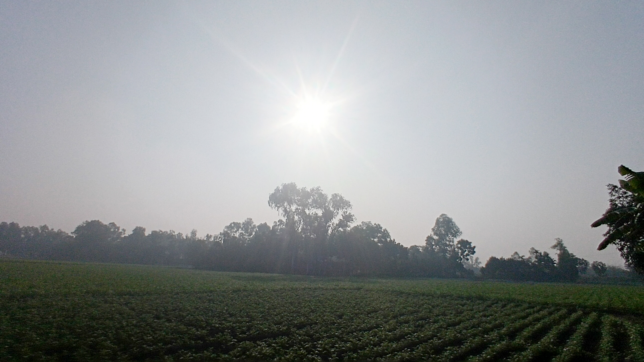চার দিন পর দেখা মিলল সূর্যের, ঠাকুরগাঁওয়ে কিছুটা স্বস্তি