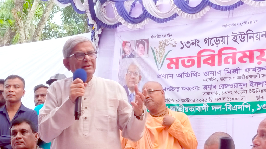 দয়া করে বিভাজন সৃষ্টি করবেন না, দেশকে বাঁচান: মির্জা ফখরুল