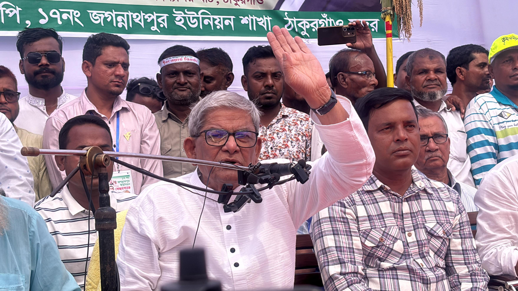 গণভোট, সনদ—এইসব আমরা বুঝি না কিছু: মির্জা ফখরুল