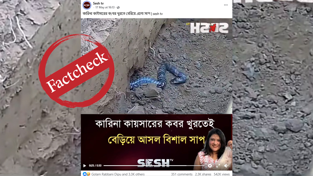 কারিনা কায়সারের কবরে সাপ? ভাইরাল ভিডিওটি পুরোনো