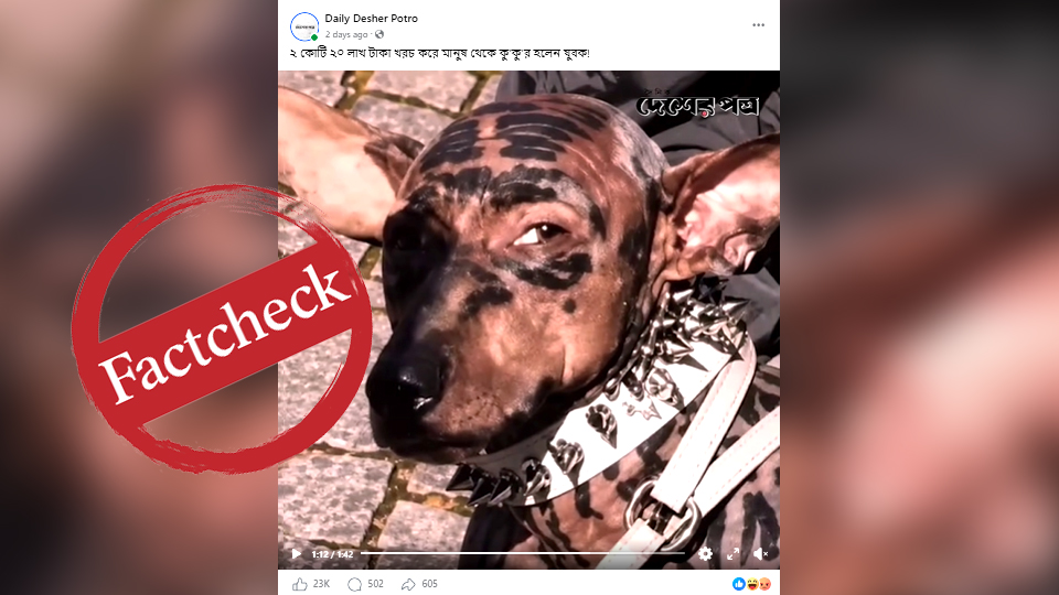জাপানি যুবক টোকোর কুকুর হওয়ার দাবিতে ছড়ানো ভিডিওটি এআই-নির্মিত