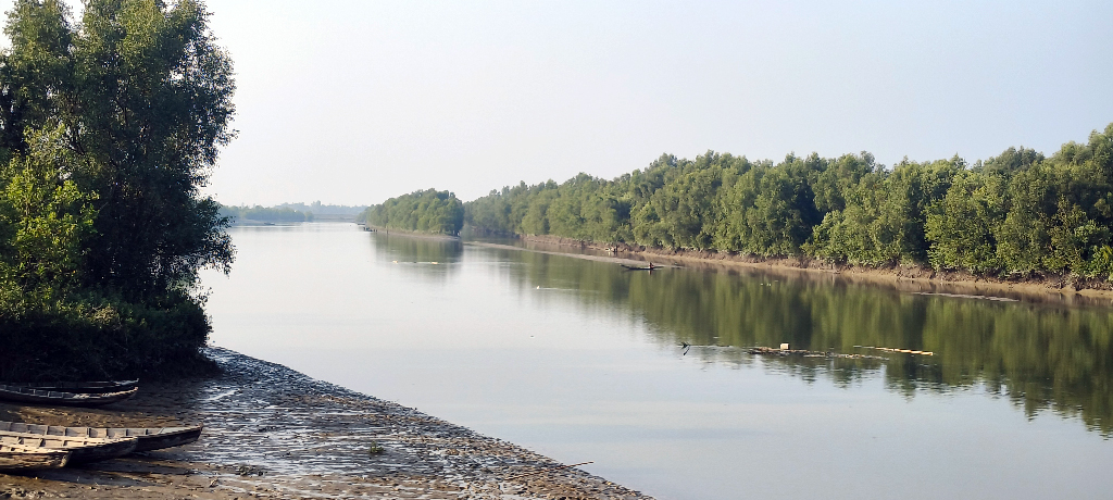টেকনাফে মিয়ানমার থেকে ছোড়া গুলিতে দুই কিশোর গুরুতর আহত